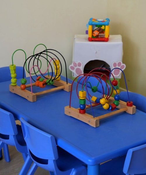 CEI MONKEY2
