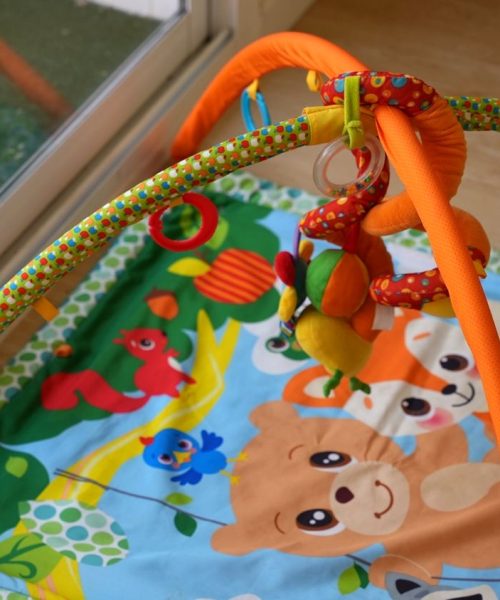 CEI MONKEY2